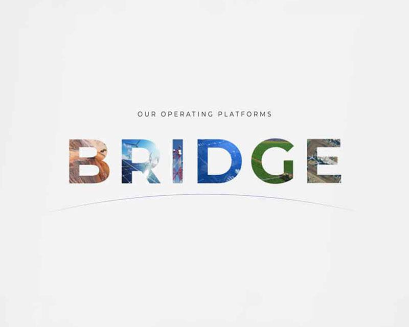 Bridge Team